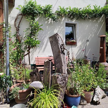 Gartenzimmer Mit Strassenbahn Zu Dom Und Messe Köln Eksteriør bilde
