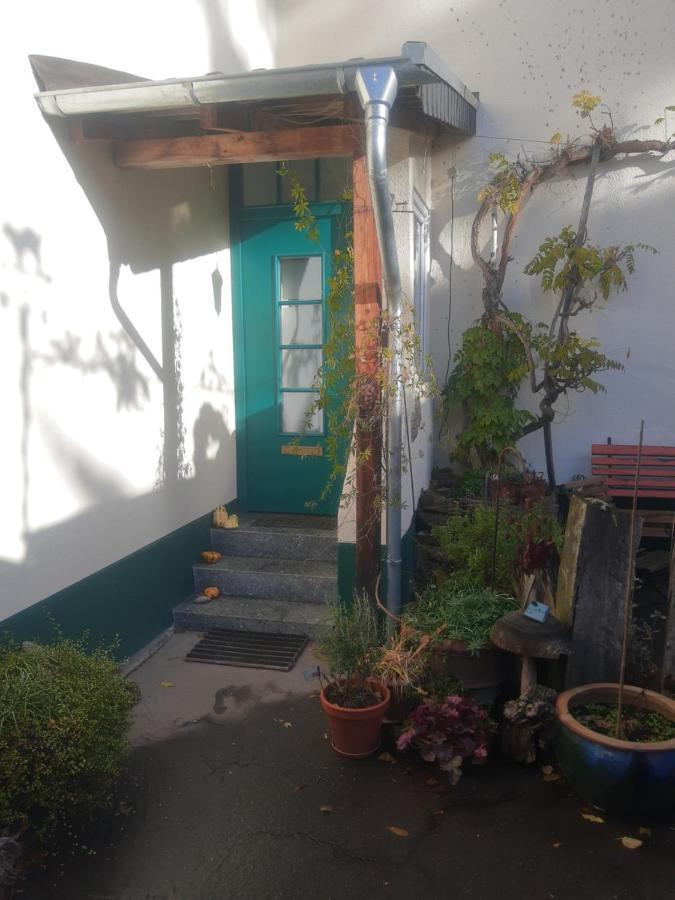 Gartenzimmer Mit Strassenbahn Zu Dom Und Messe Köln Eksteriør bilde
